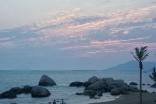 你的天涯我的海角番外,缘起缘灭的宿命之旅