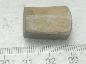 澄海角料,揭秘海洋资源循环利用的绿色奇迹