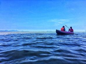 天涯海角寻知音,一场跨越千里的心灵邂逅